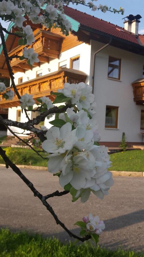 شقة Lederhof أبتيناو المظهر الخارجي الصورة
